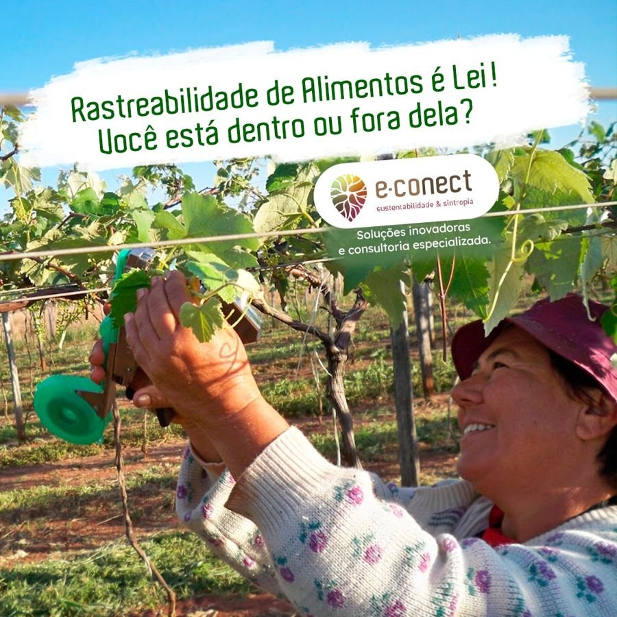 Produtora sorrindo enquanto trabalha em um parreiral, com a chamada “Rastreabilidade de Alimentos é Lei! Você está dentro ou fora dela?”