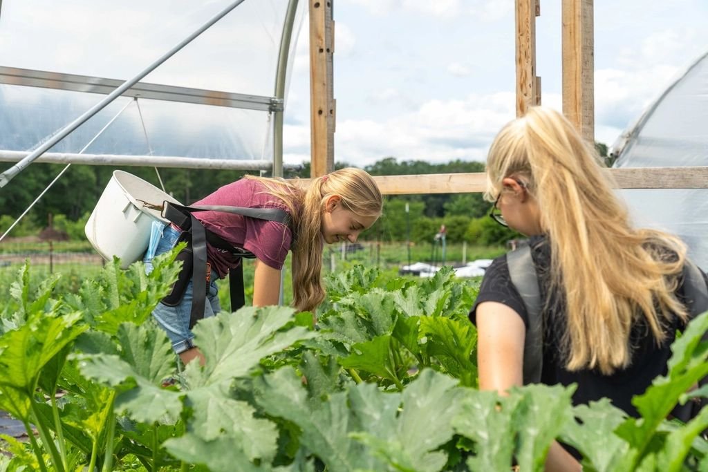 Duas jovens trabalhando entre plantas de abobrinha