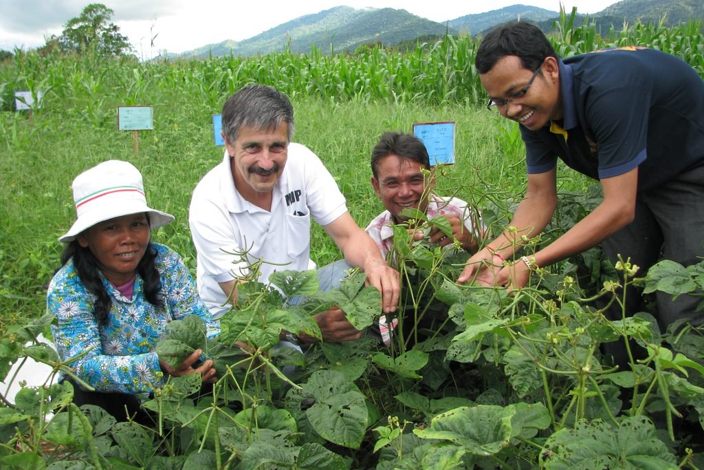 Especialista em agronomia conversa com agricultores no meio de uma lavoura de feijão